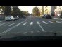 Кот переходит дорогу по зебре (видео)