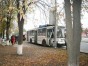 В Мариуполе троллейбус врезался в столб: среди пассажиров есть пострадавшие (ФОТО)