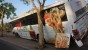 Израильский автобус затесался между деревьев (фото)