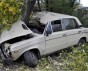 Смерть на дороге: водитель "Жигули" влетел в дерево и погиб на месте 
